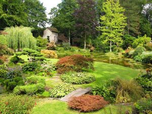 Amenagement jardin