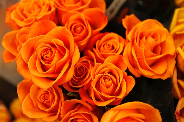 Bouquet de fleurs pour exprimer son amour : comment ça marche ?