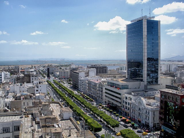 Voyage au cœur de la chaleur tunisienne : Les villes qui réchauffent l’âme