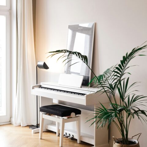 Transport de piano expert