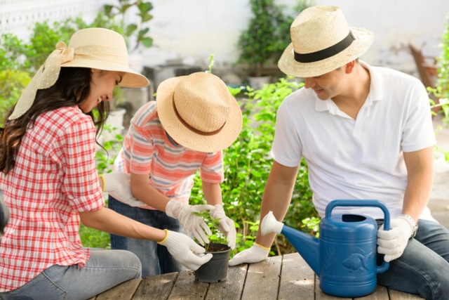 jardinage ludiques