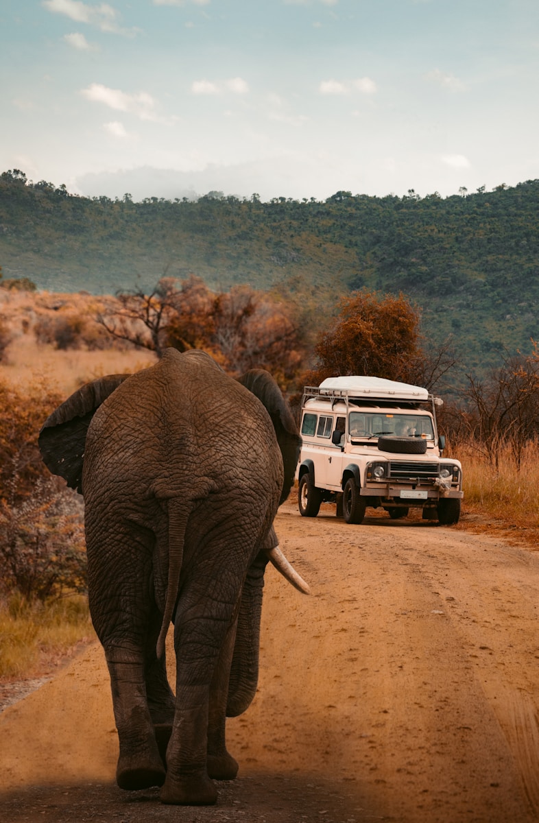 voyage exotique