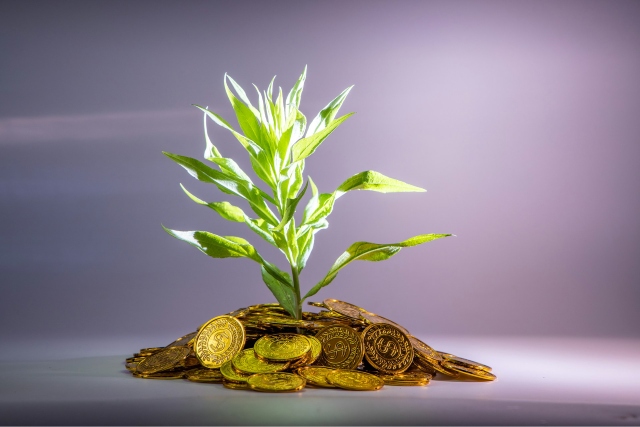 Économie et écologie