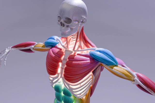 maladies rhumatismales